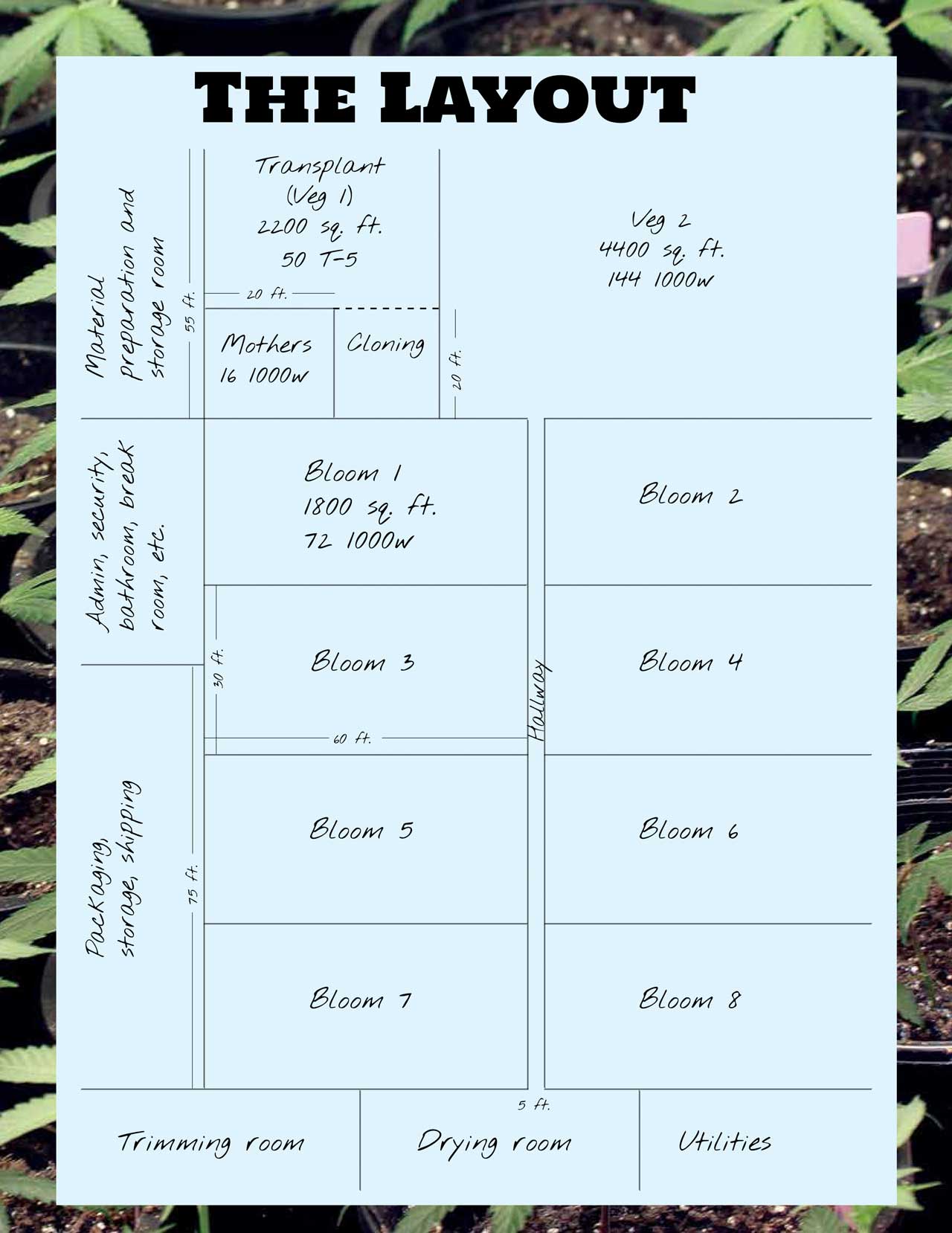 The Ultimate Grow Part I Marijuana Venture