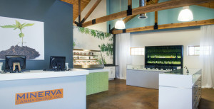 The lobby at Minerva Canna Group after a complete remodel was spearheaded by Megan Stone, of High Road Design Studio. 