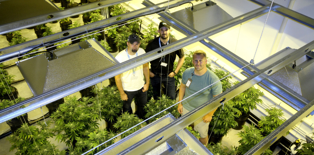 Jesse and Jeremy Elkins, of Elkins Inc., stand with Sundance Benjestorf, owner of Deepwater Botanicals, at Benjestorf's Bellingham, Washington grow operation. 