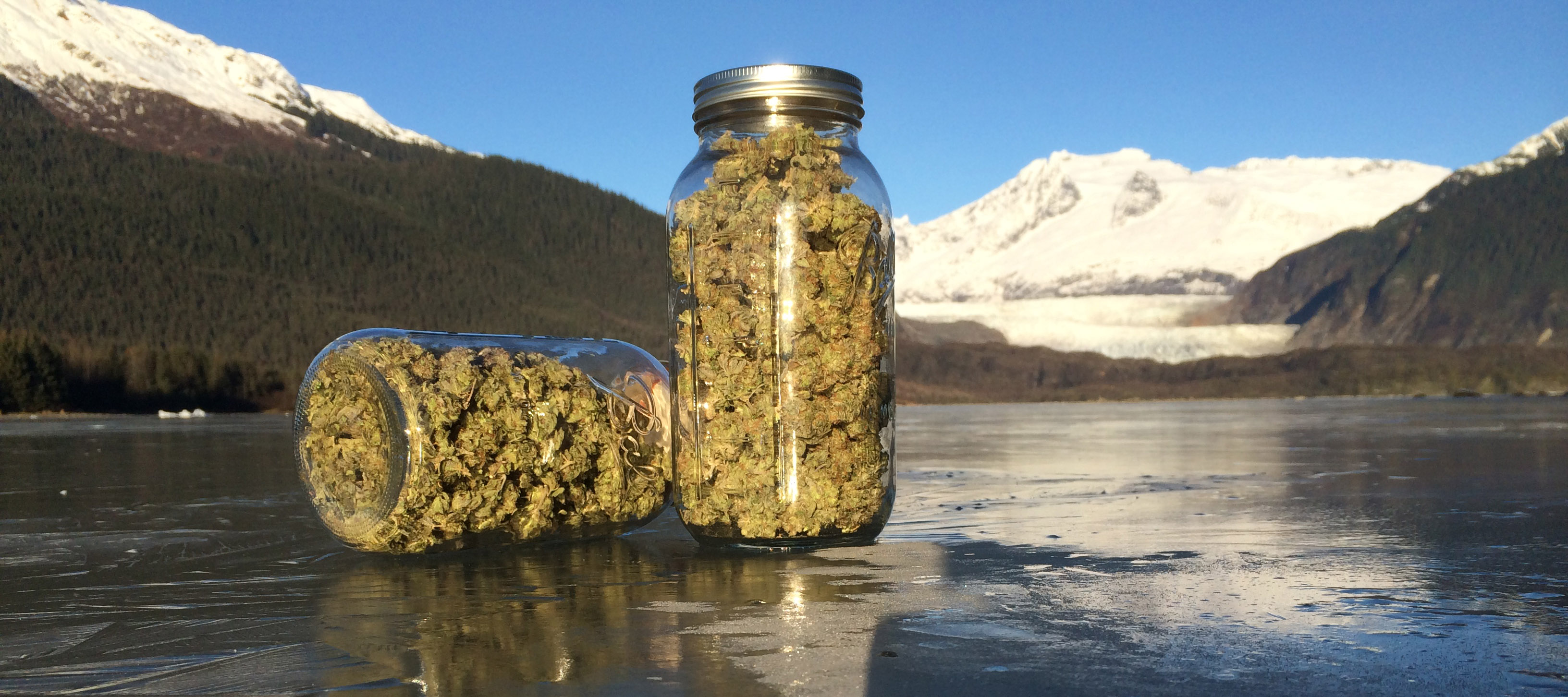 Legalization in Alaska is just the beginning. Photo courtesy Rainforest Farms. 