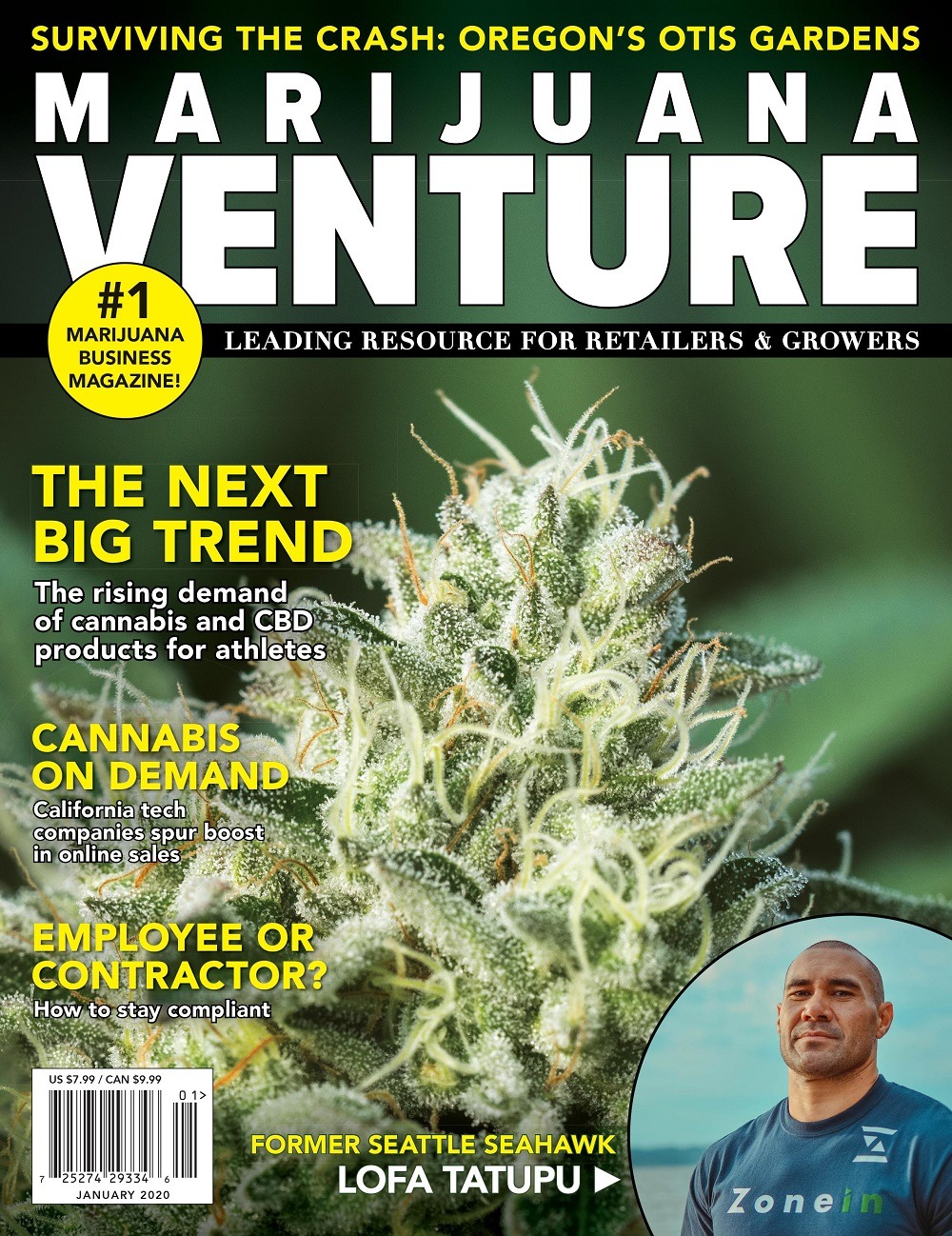 Marijuana Venture, Vol 7 (2020)