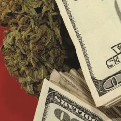 bud and money