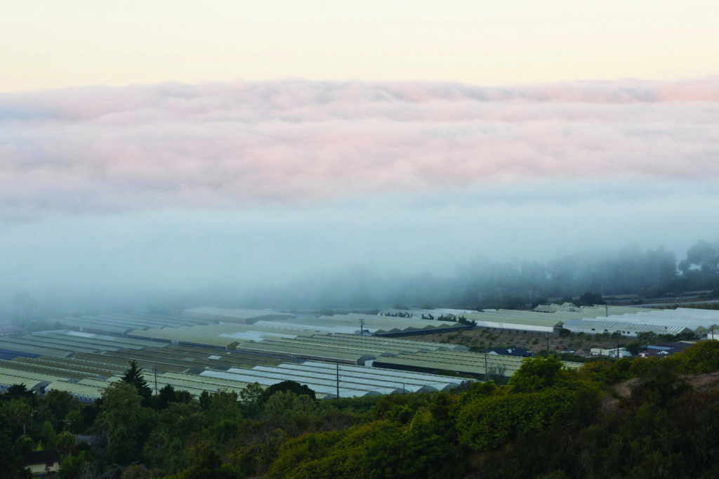 Carpinteria Greenhouse aerial