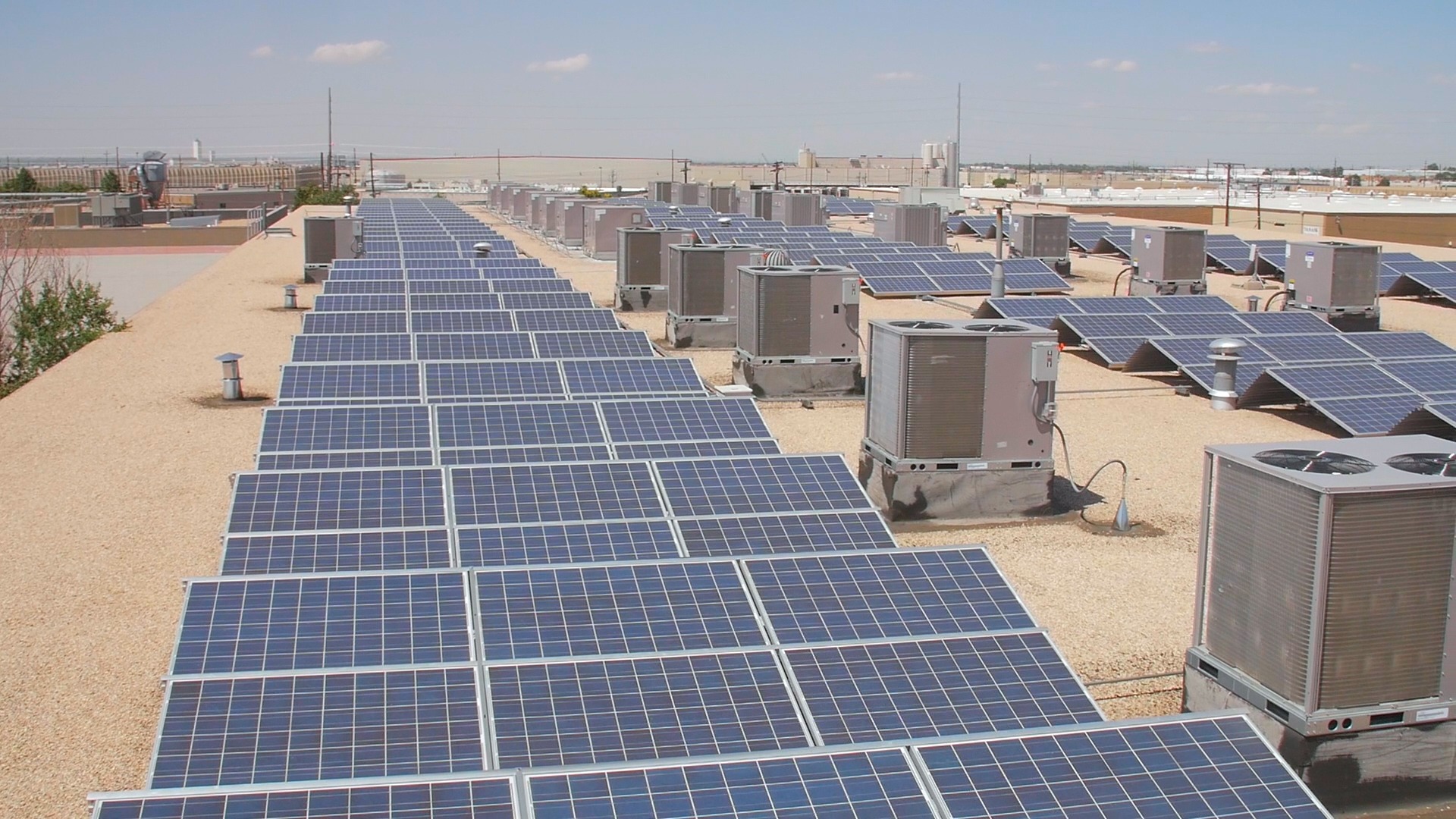 Verde Naturals has installed dozens of solar panels on its roof to offset the cost of electricity. Photo by Dan Curtis. 