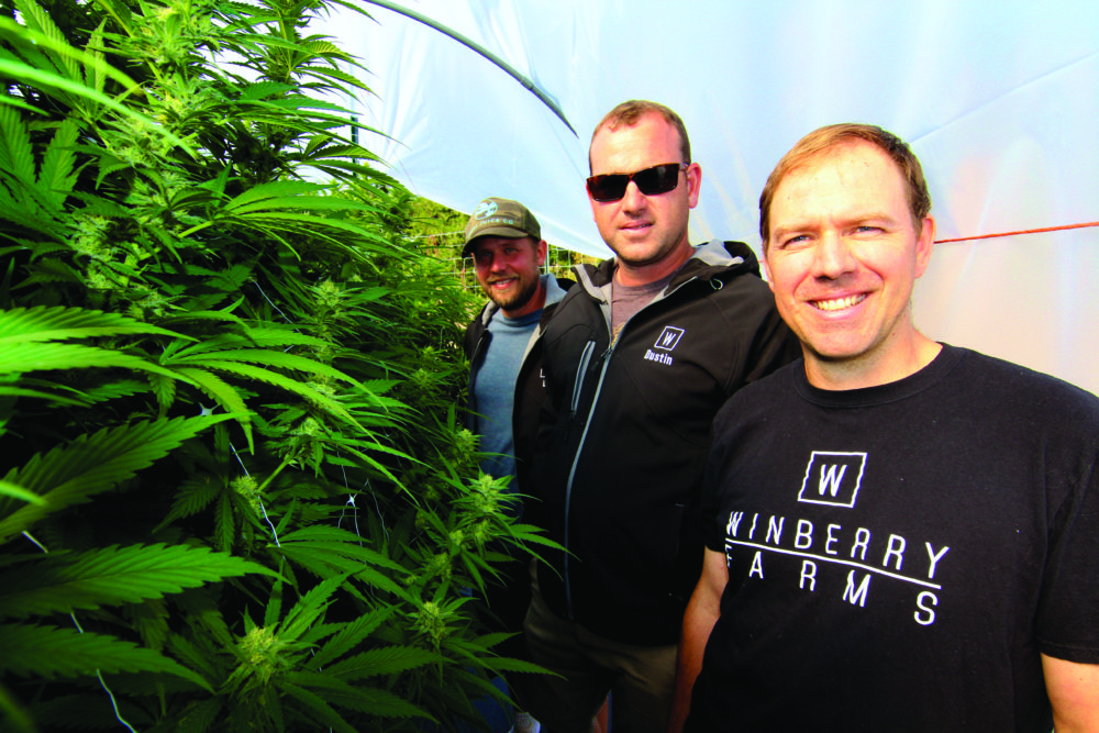 From left to right: Dustin Jessup, B.J. Maks and Kevin Spence make up the farm's minimalist team. 