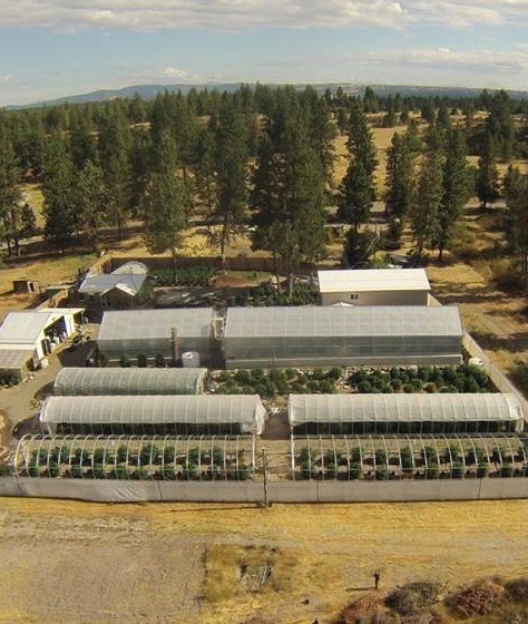 An overhead shot of Kush Comfort Farms. 