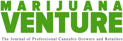 Marijuana Venture