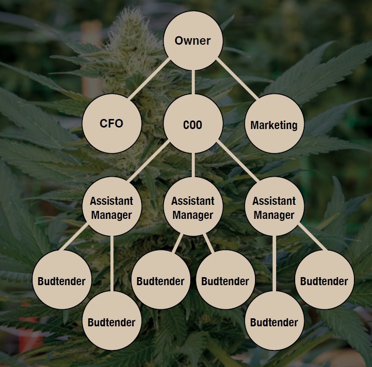 Dispensary Organizational Chart