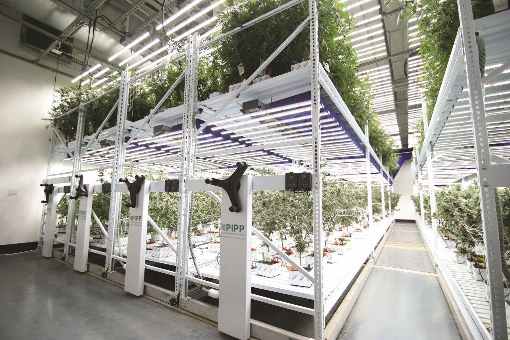 Pipp Archives Venture Pipp Horticulture Is An Industry Leader For Mobile Vertical Racking Systems The Company S Grow Racks Allow Cultivators To Maximize Space In Their