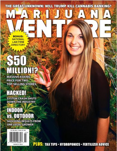 Marijuana Venture, Vol 4 (2017)