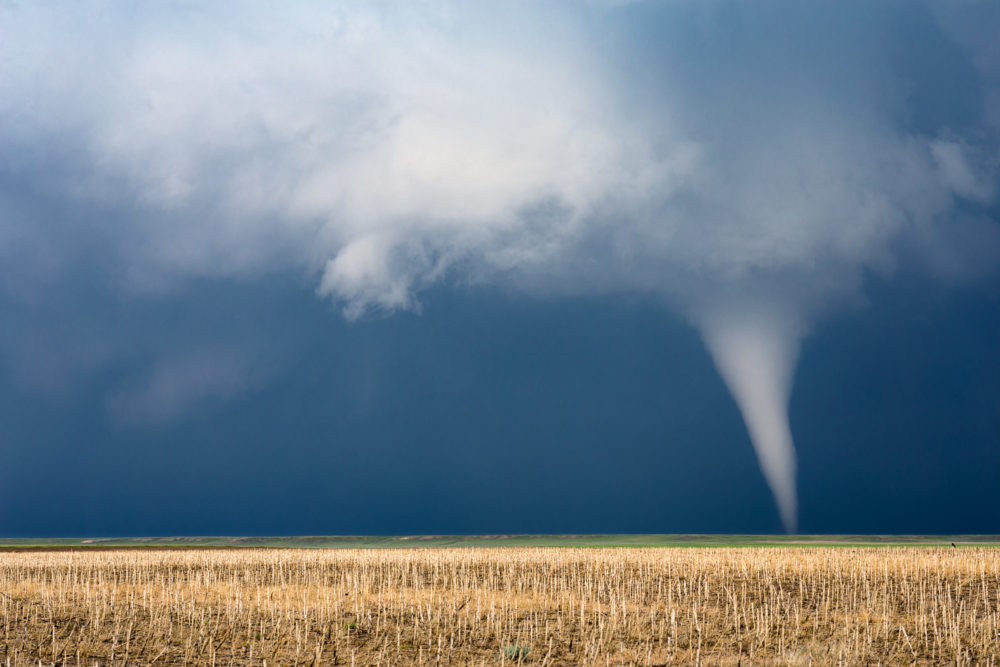 Twister anyone?