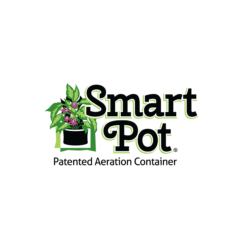 Plastic Pots vs Fabric Pots - The Right Pot For Cannabis 