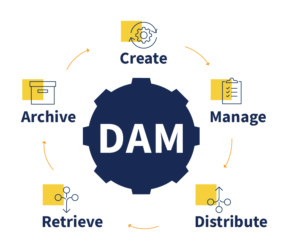 DCM DAM