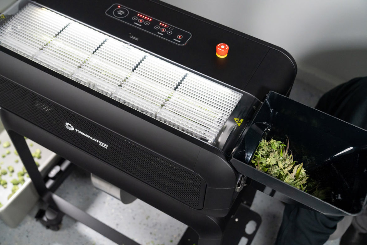 Revolutionizing Wet and Dry Trimming in One Machine Marijuana Venture