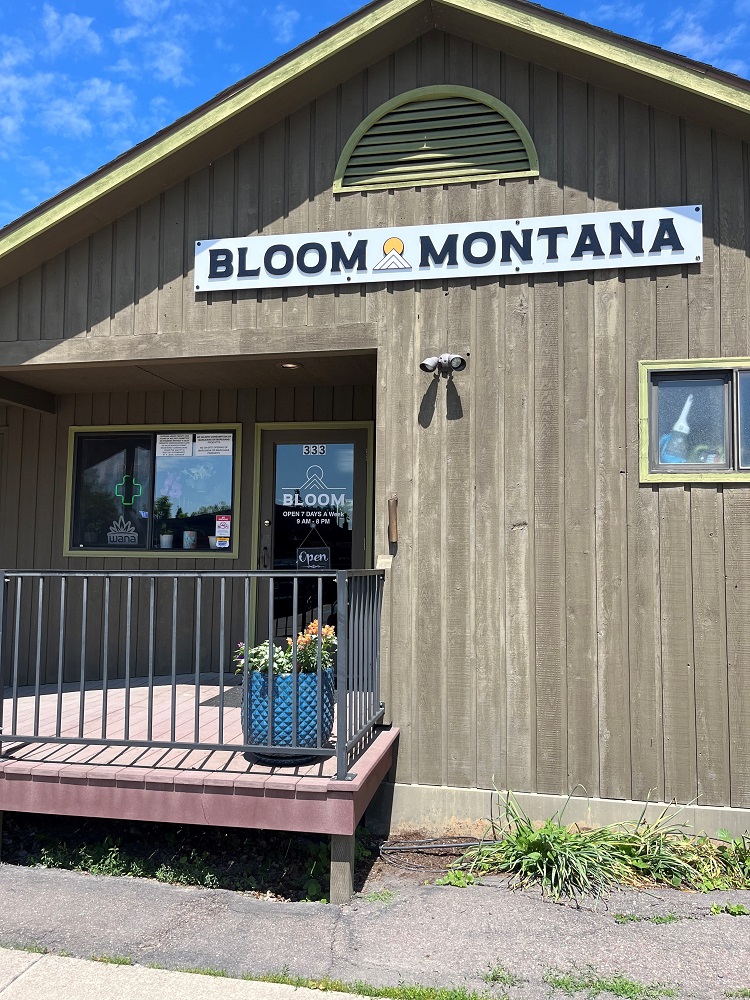 Bloom MT