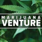 Marijuana Venture Magazine